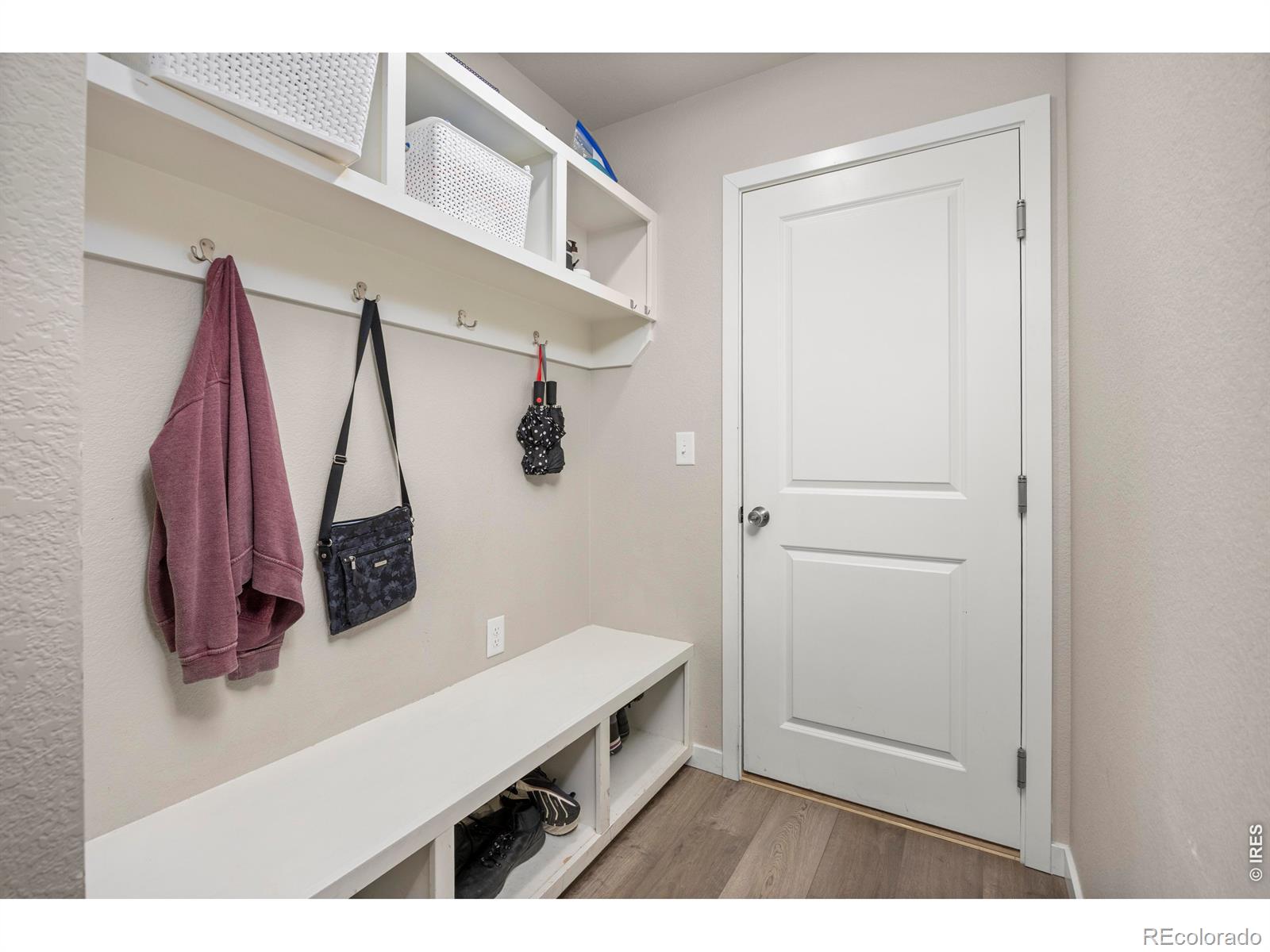 3803 Sweetgum Street Wellington CO 80549