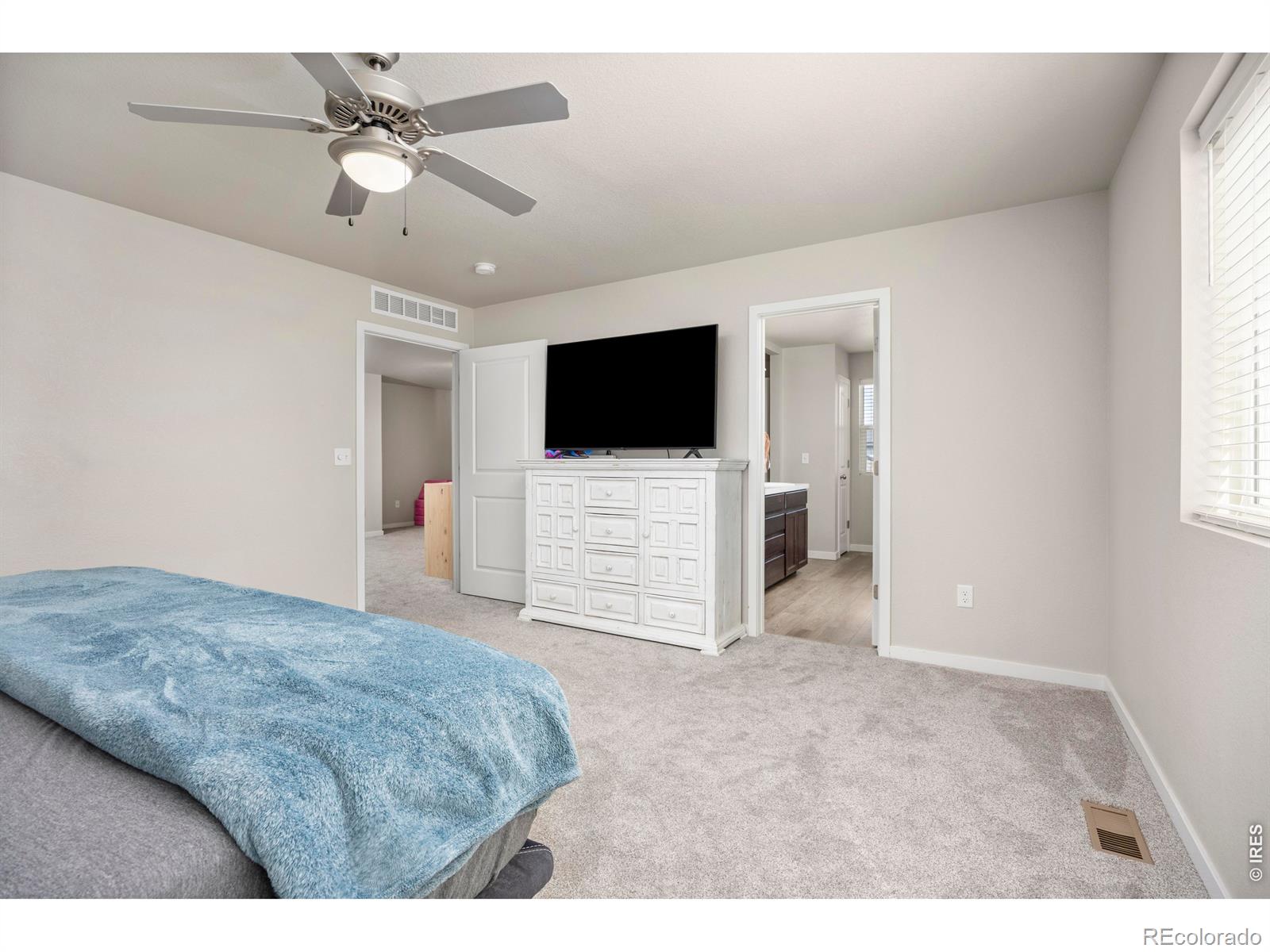 3803 Sweetgum Street Wellington CO 80549
