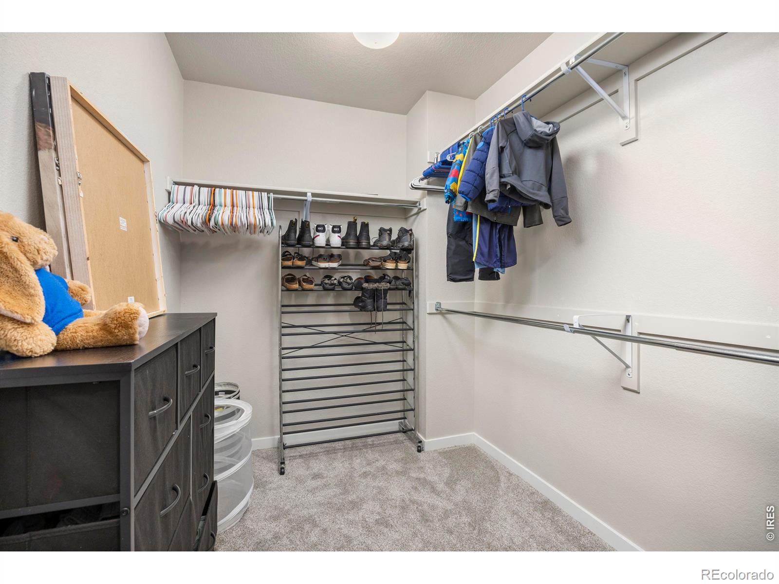 3803 Sweetgum Street Wellington CO 80549