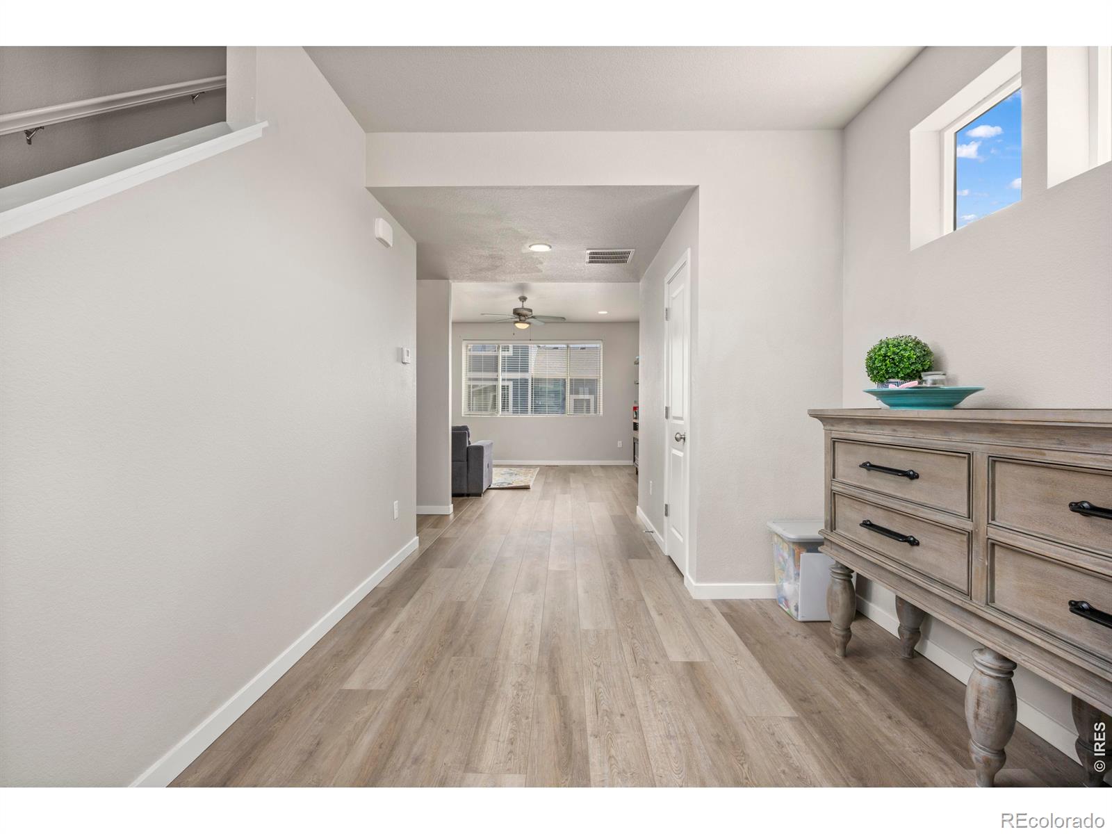 3803 Sweetgum Street Wellington CO 80549