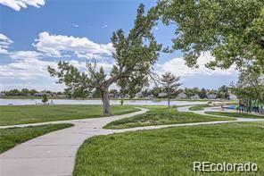8220 Lamar Circle Arvada CO 80003