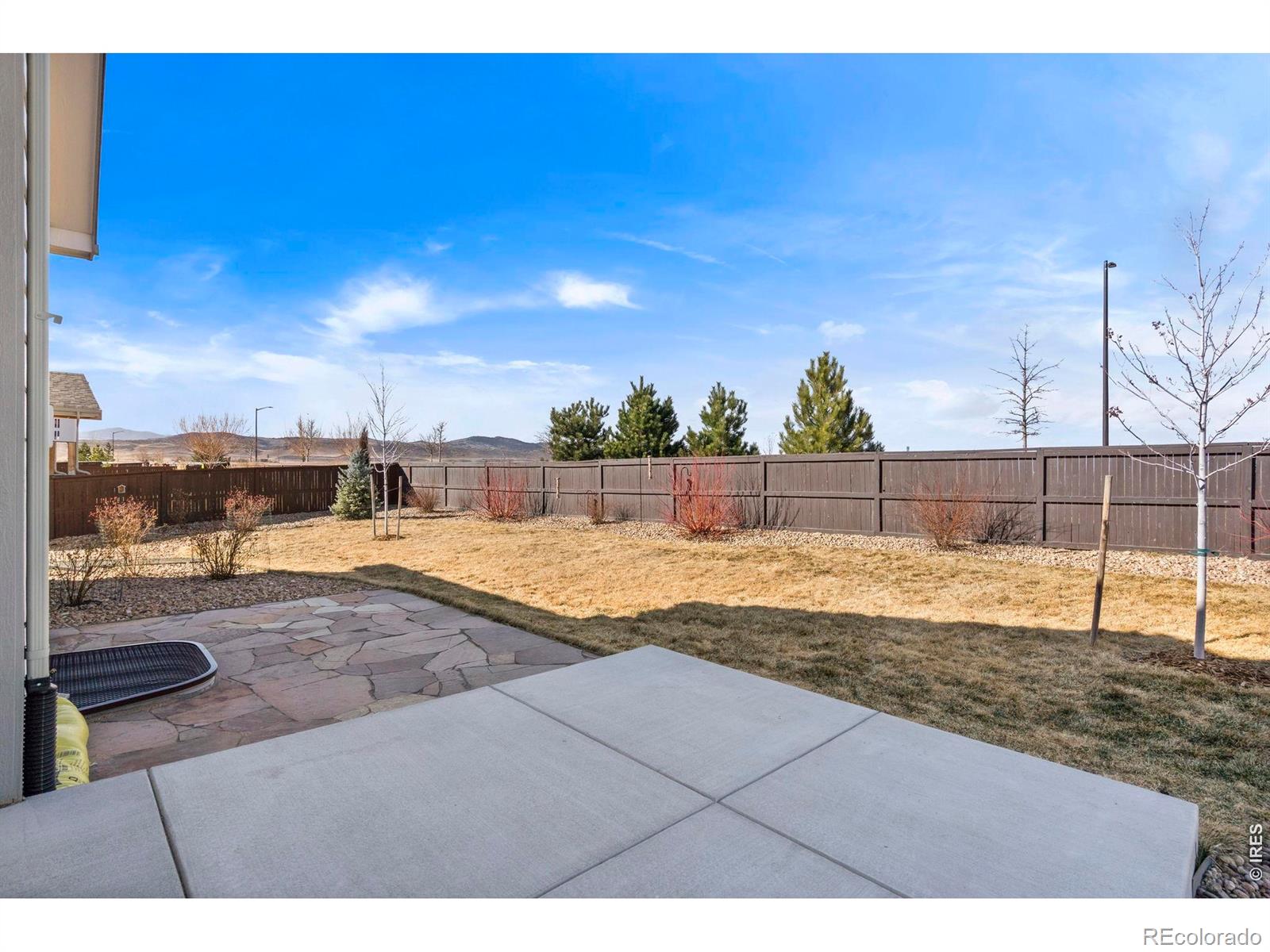 1733 Lazear Street Loveland CO 80538