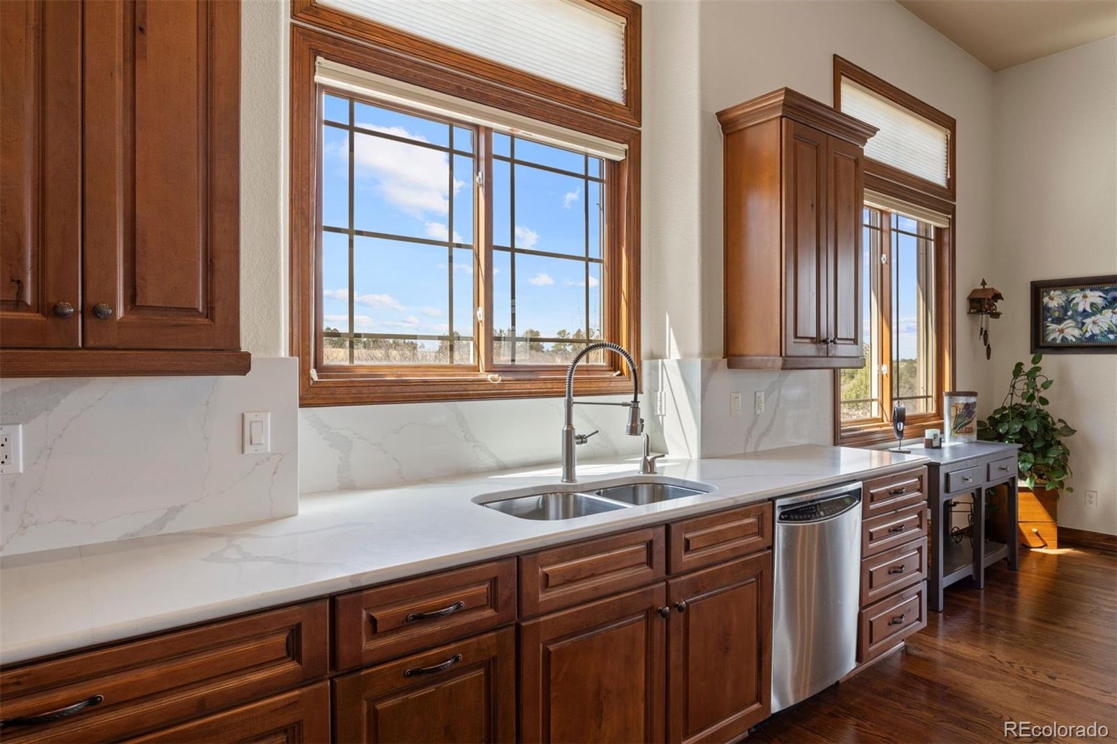 6146 Windom Peak Way Castle Rock CO 80108