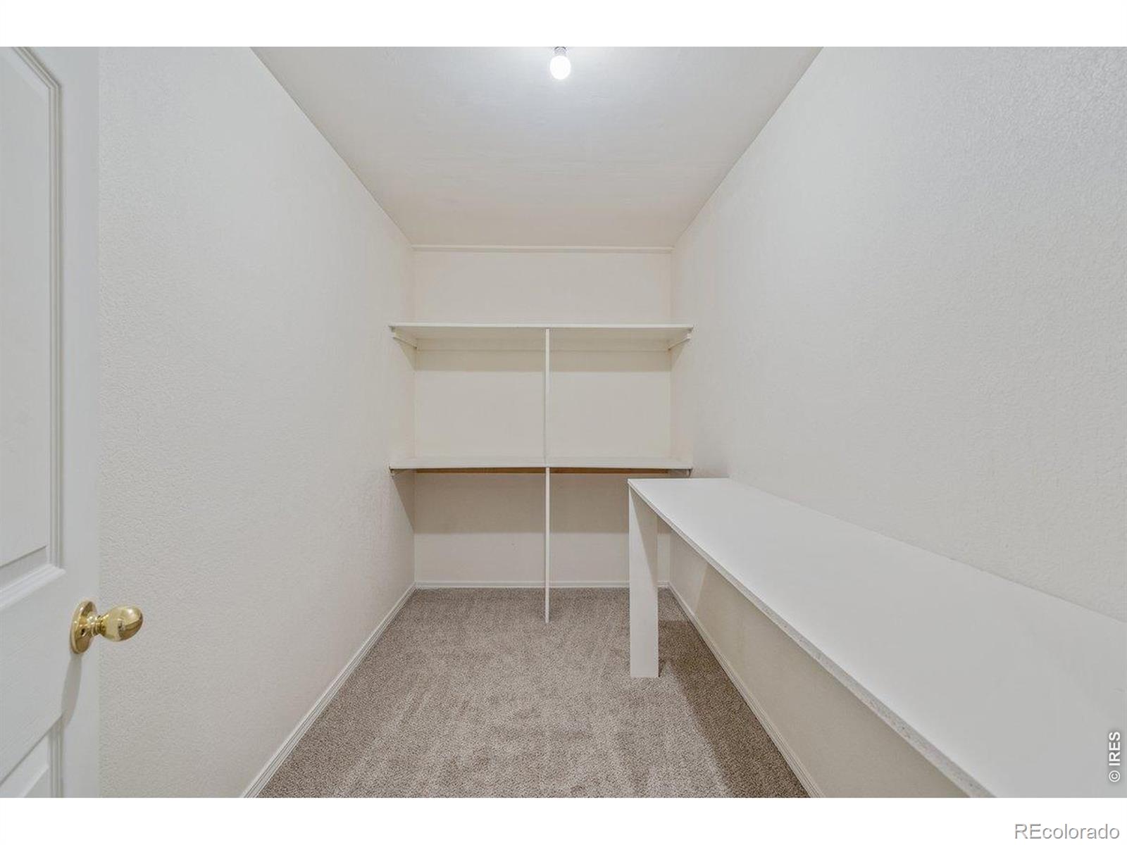 208 Egyptian Court Fort Collins CO 80525