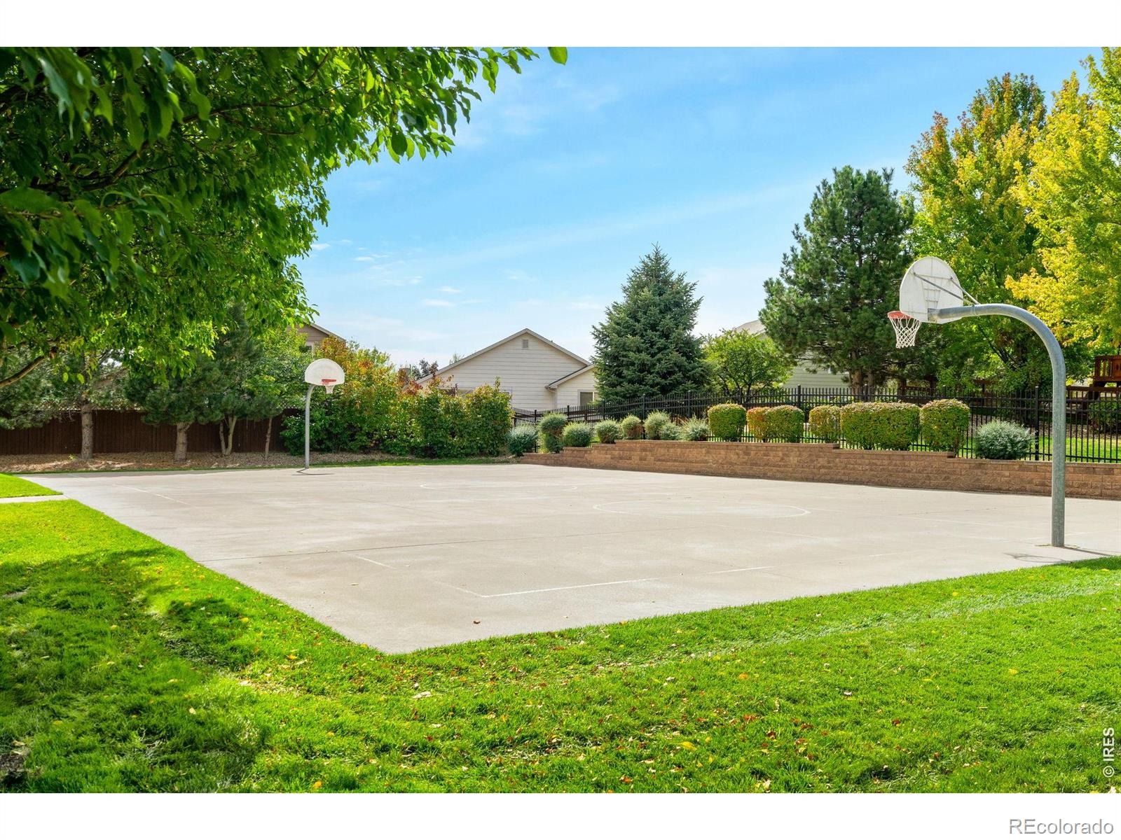 608 Peyton Drive Fort Collins CO 80525