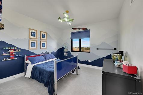 50 Skyhawk Way Parker CO 80138