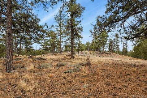 957 Arapahoe Drive Florissant CO 80816