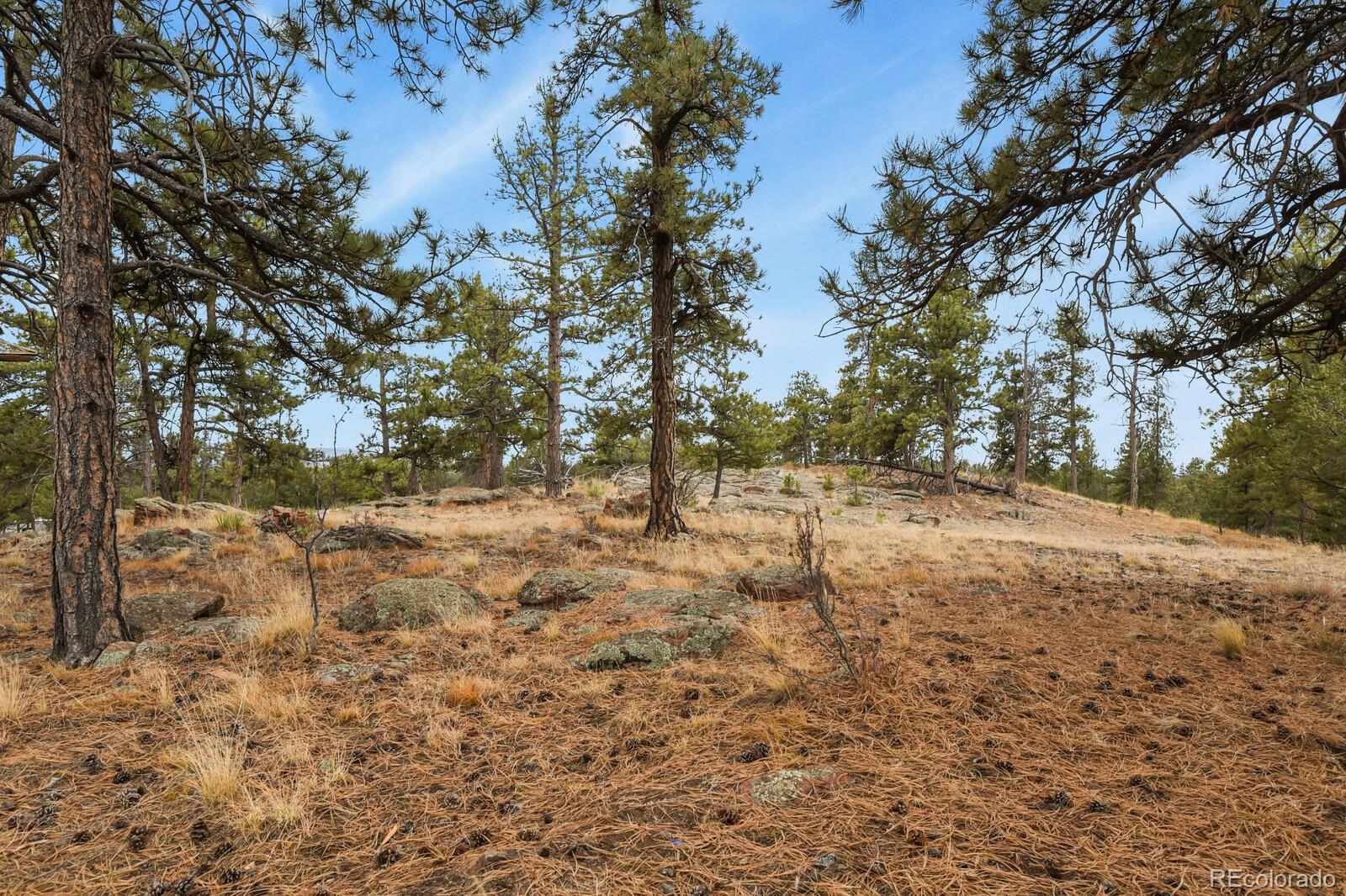 957 Arapahoe Drive Florissant CO 80816