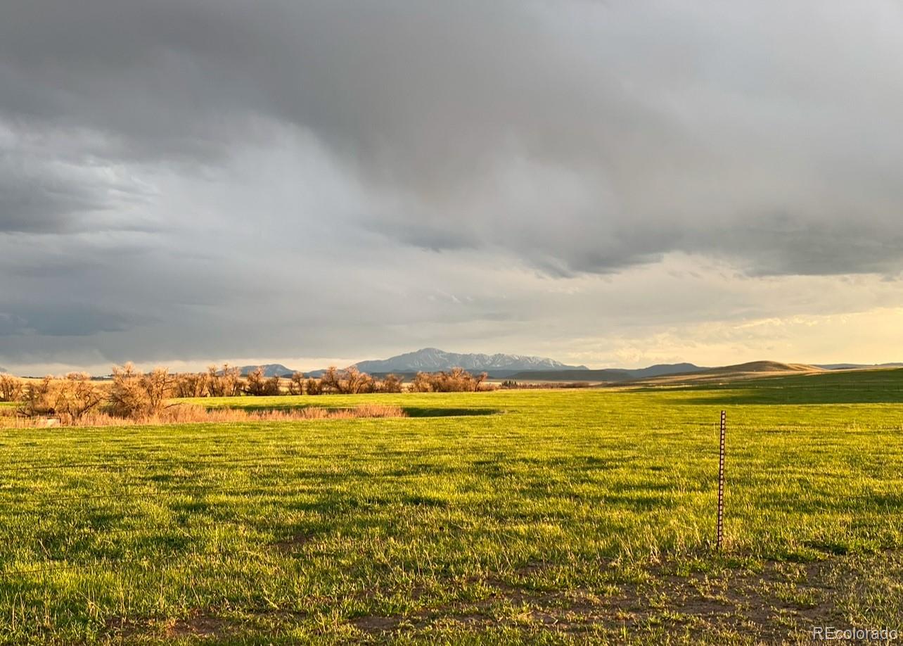 6597 S State Highway 83 Franktown CO 80116