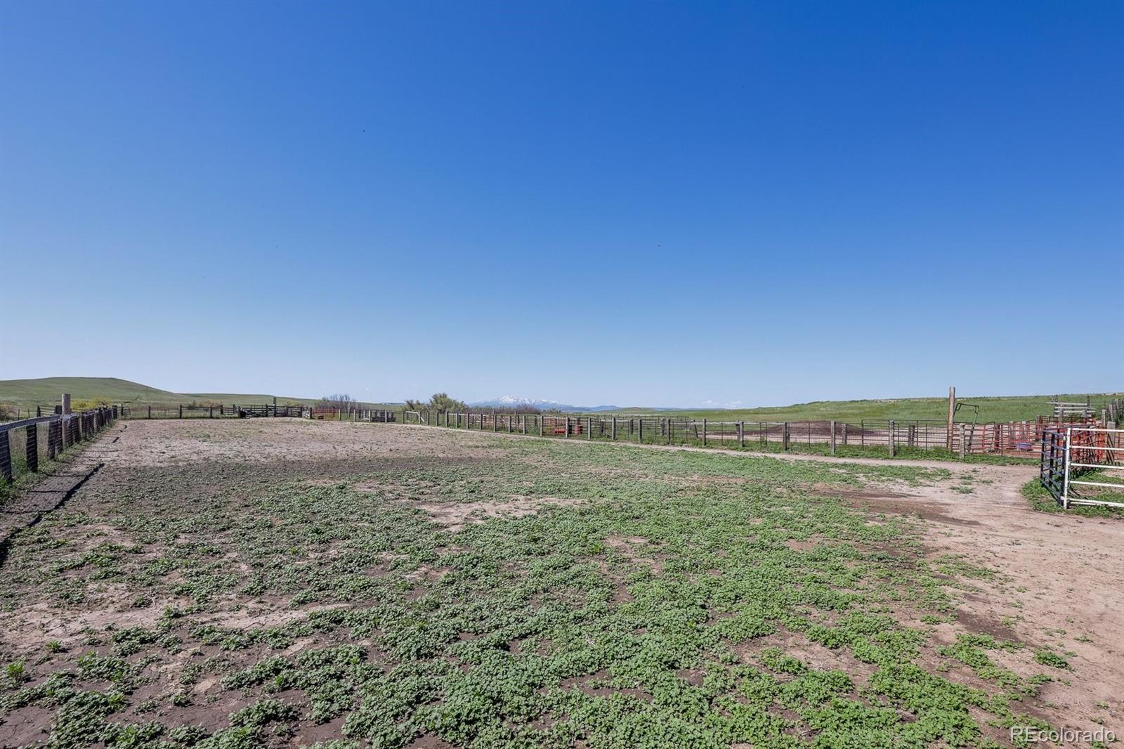 6597 S State Highway 83 Franktown CO 80116