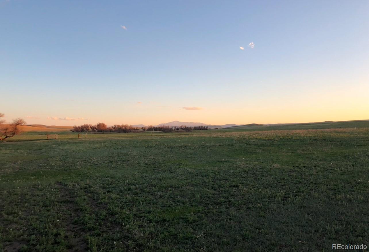 6597 S State Highway 83 Franktown CO 80116