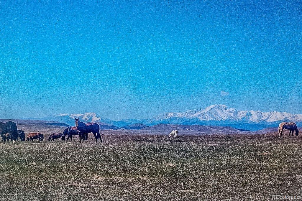 6597 S State Highway 83 Franktown CO 80116