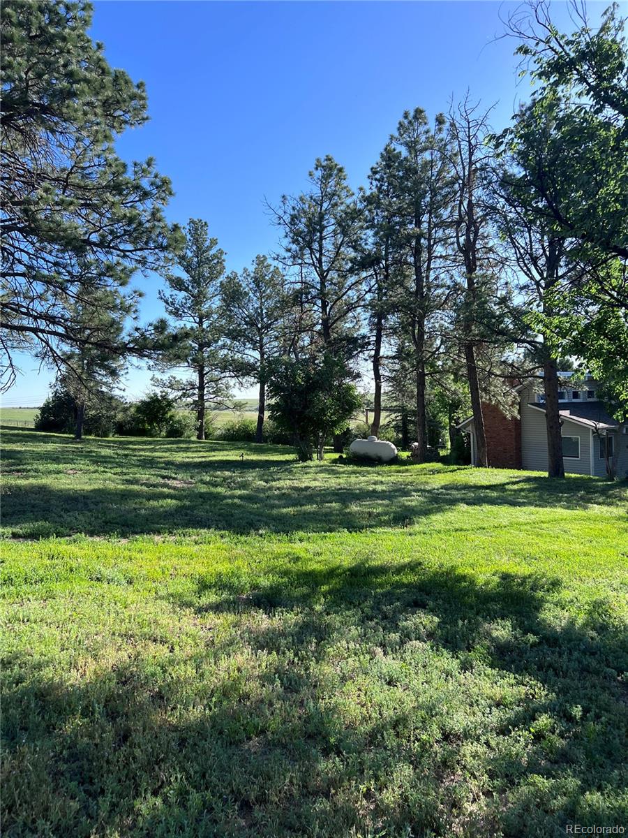 6597 S State Highway 83 Franktown CO 80116