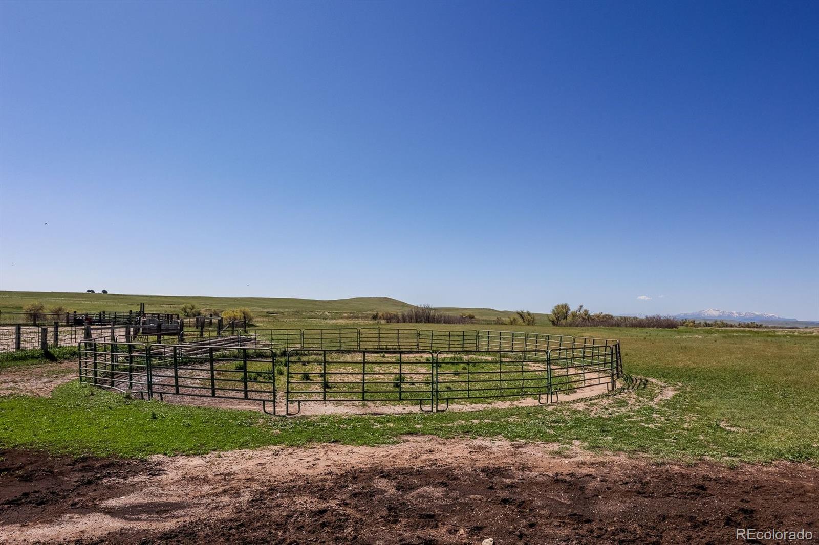 6597 S State Highway 83 Franktown CO 80116