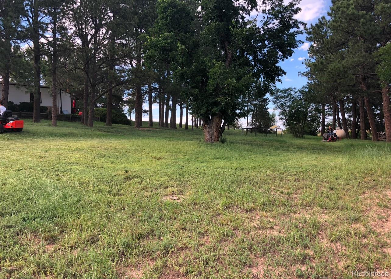 6597 S State Highway 83 Franktown CO 80116