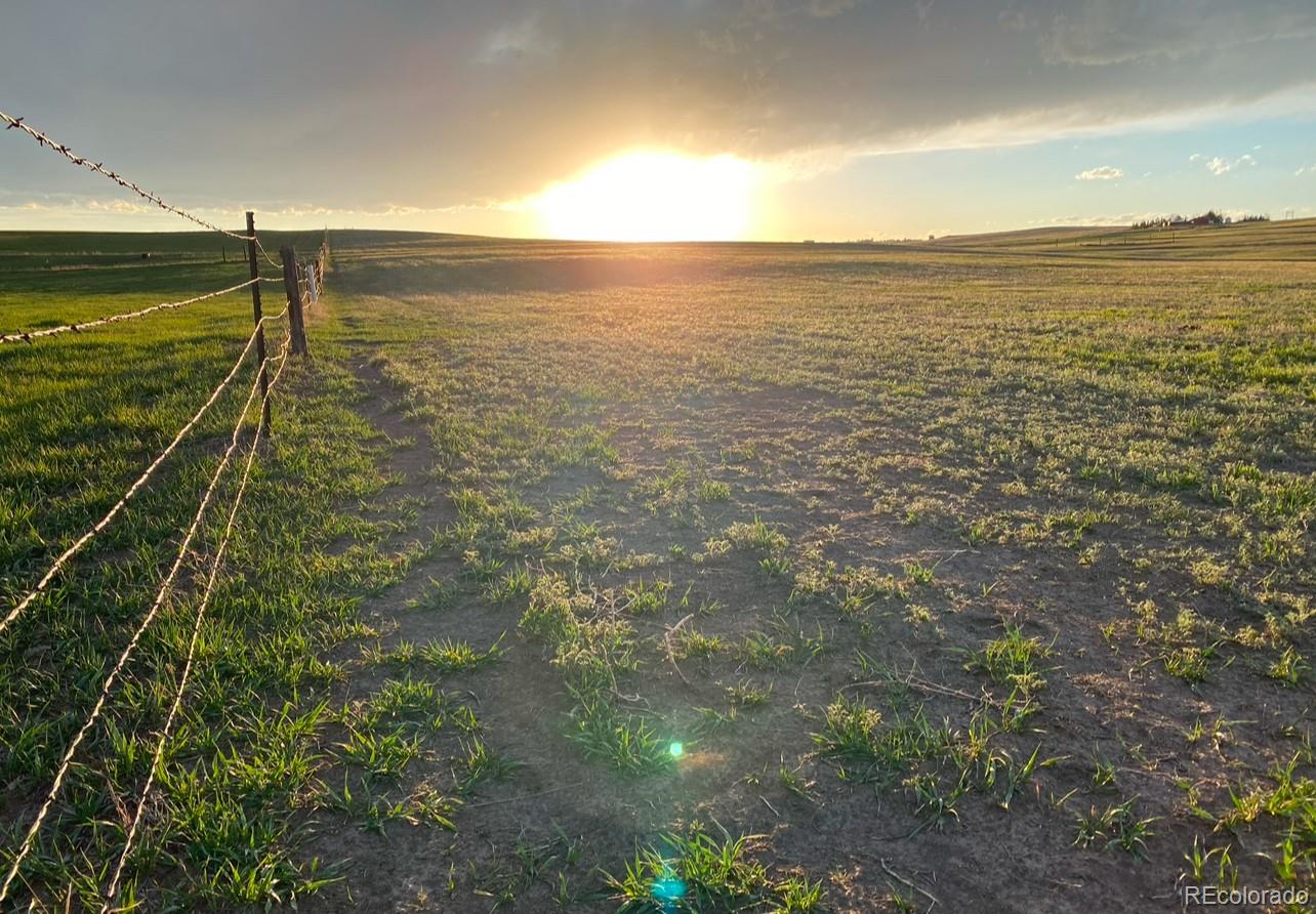 6597 S State Highway 83 Franktown CO 80116
