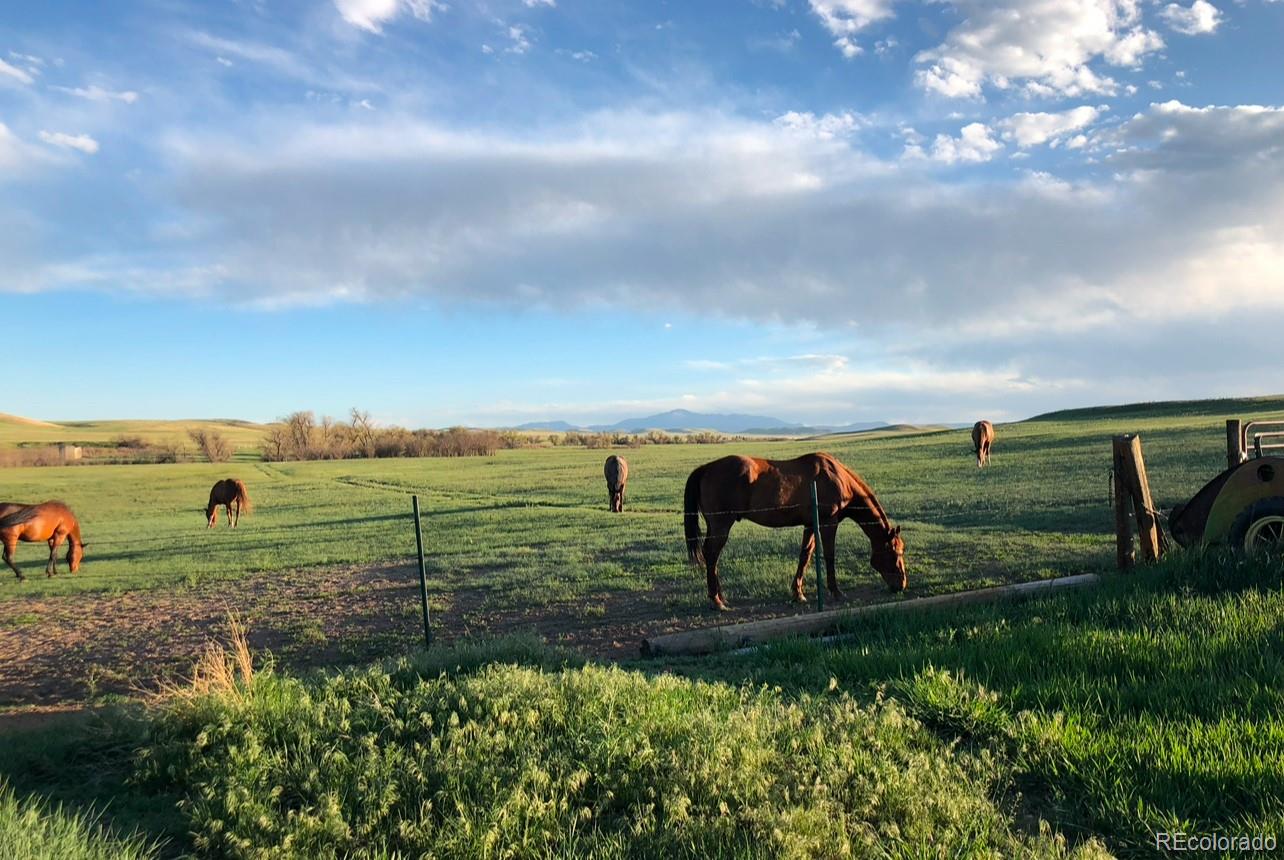 6597 S State Highway 83 Franktown CO 80116