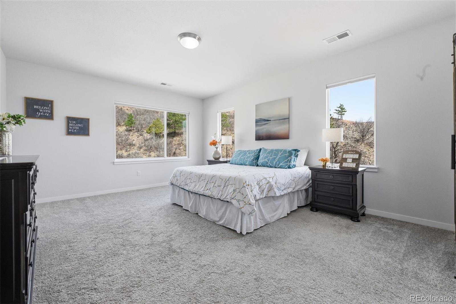 4206 Mesa Top Drive Monument CO 80132