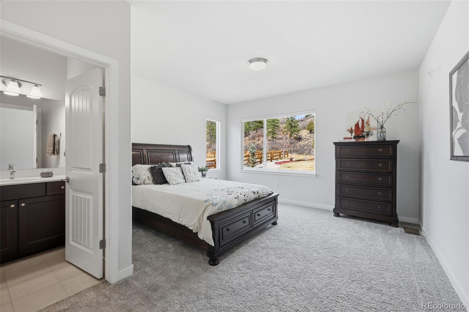 4206 Mesa Top Drive Monument CO 80132