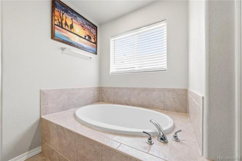 8267 Basaltic Drive Colorado Springs CO 80938