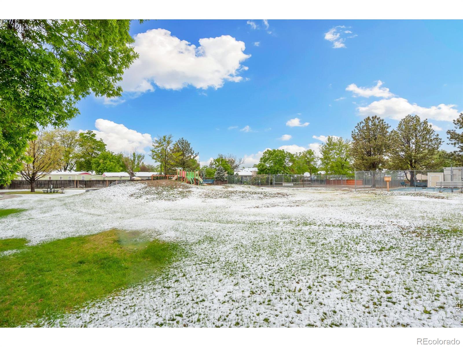 4433 Julian Court Fort Collins CO 80528