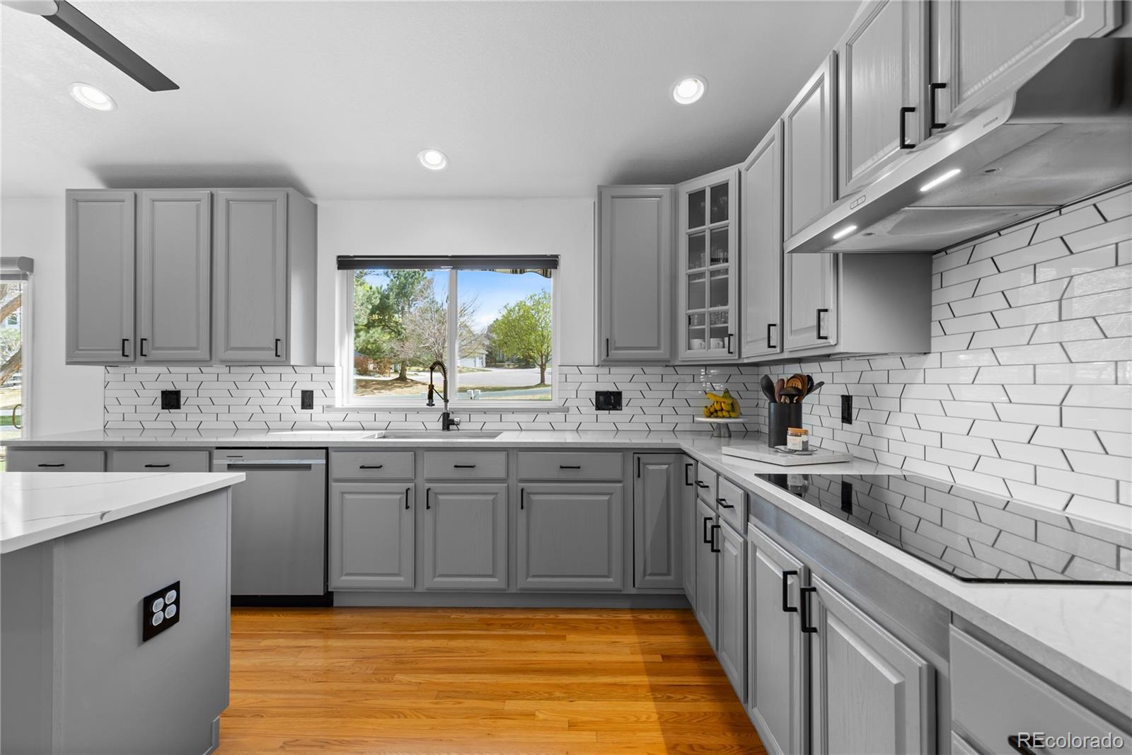 10076 Astoria Court Lone Tree CO 80124