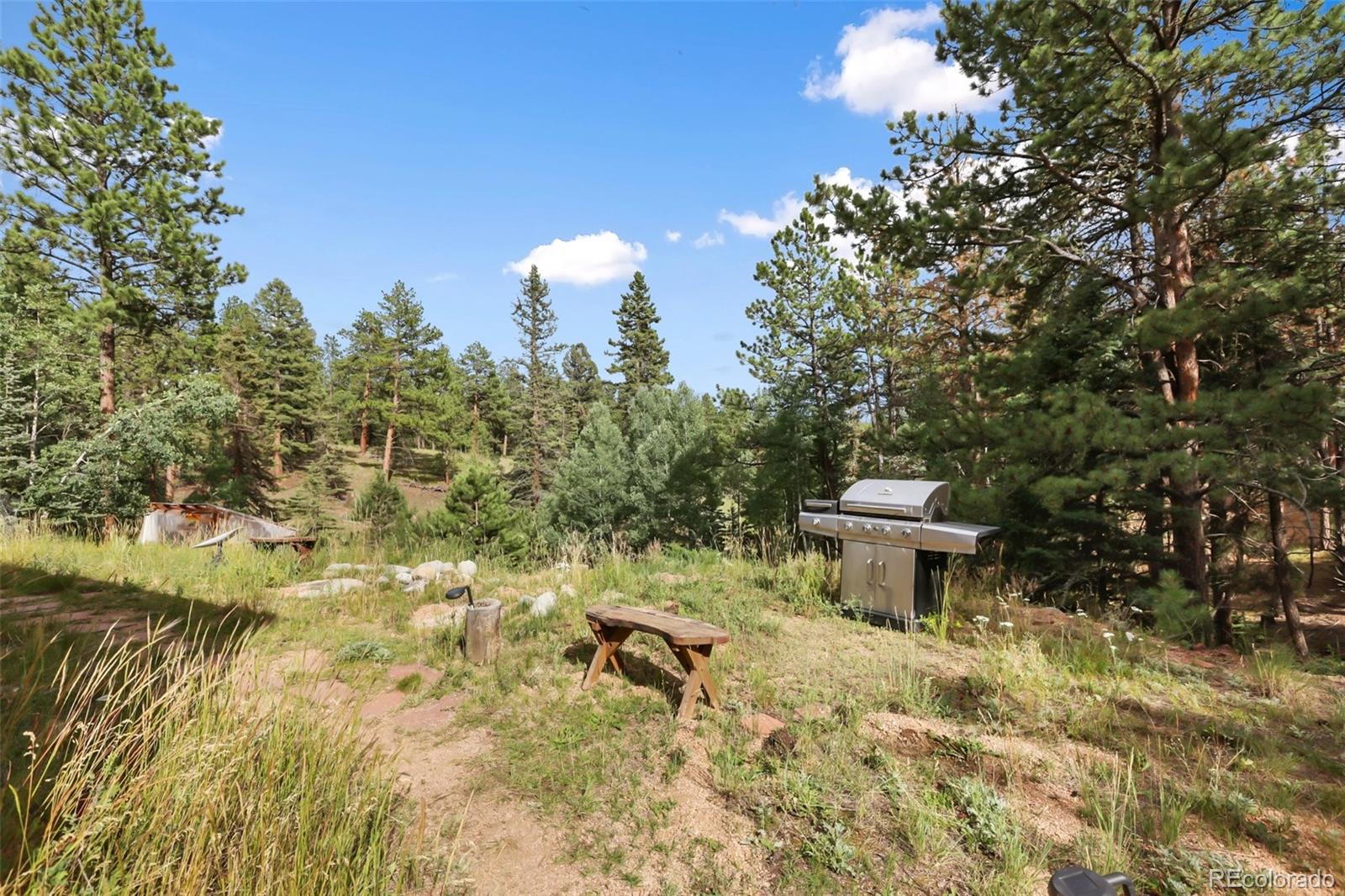 410 Rangeview Road Divide CO 80814
