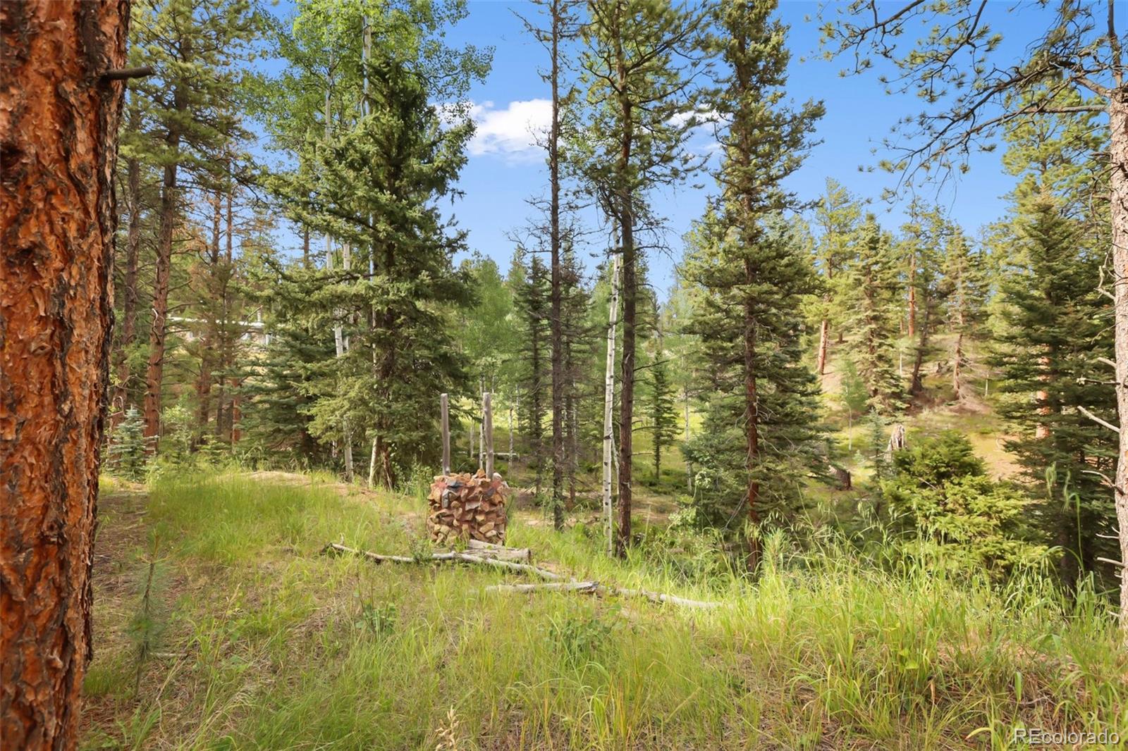 410 Rangeview Road Divide CO 80814