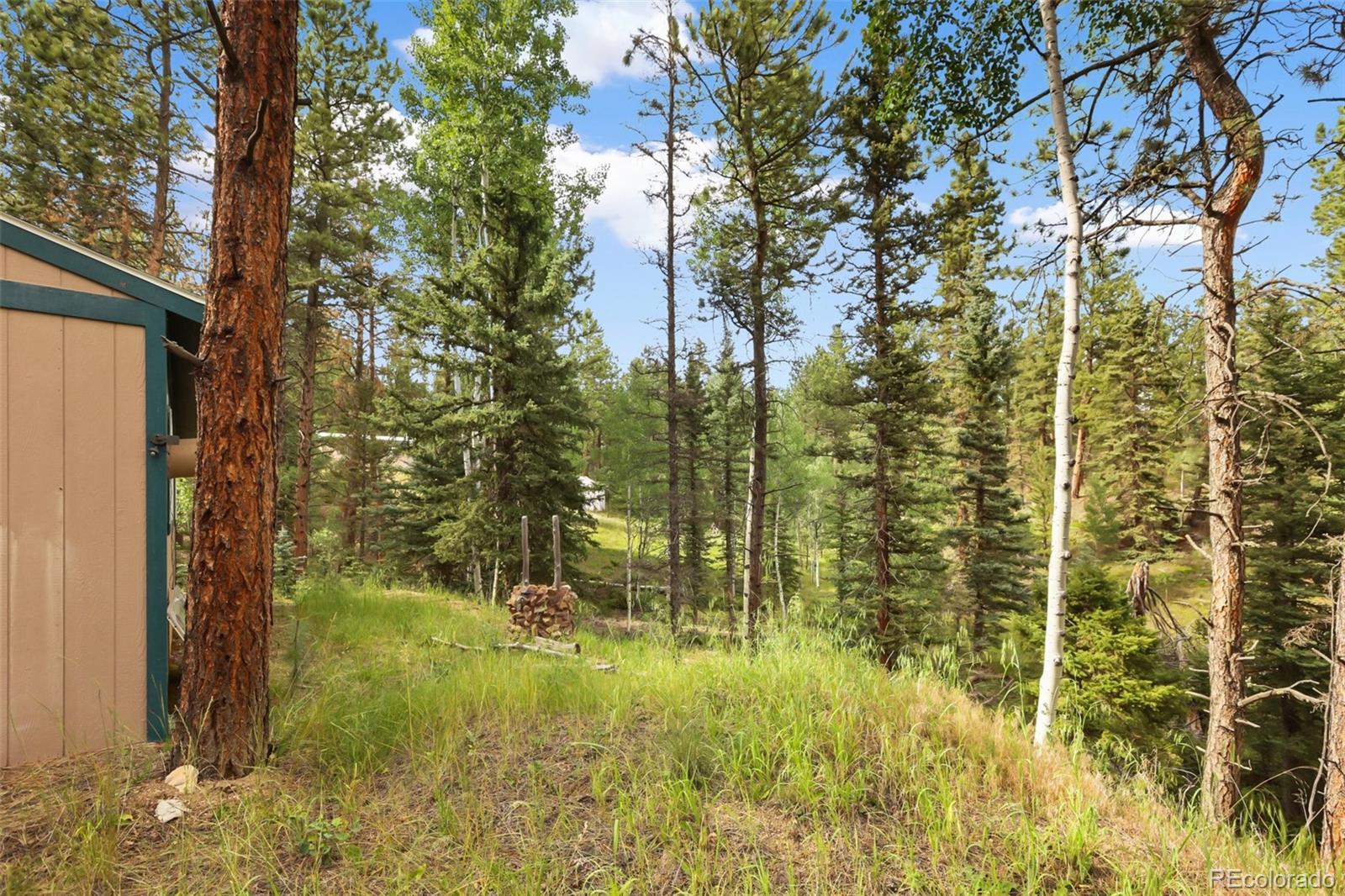 410 Rangeview Road Divide CO 80814