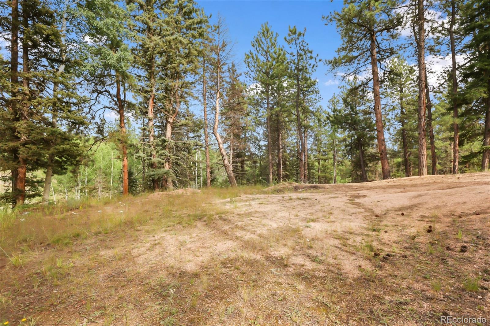 410 Rangeview Road Divide CO 80814