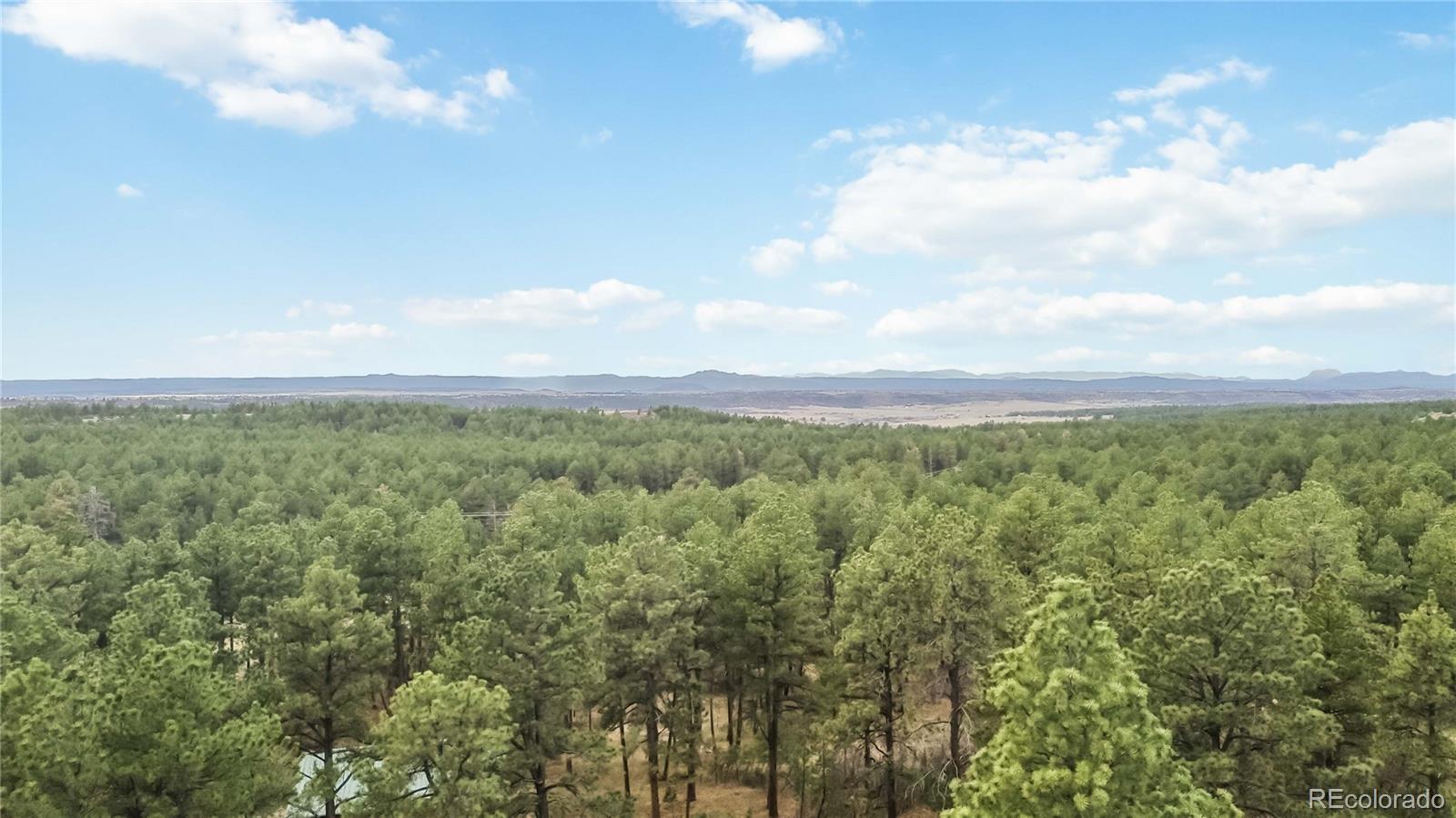 1125 Deerpath Road Franktown CO 80116
