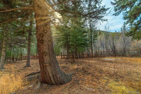 49756 Highway 285 Grant CO 80448