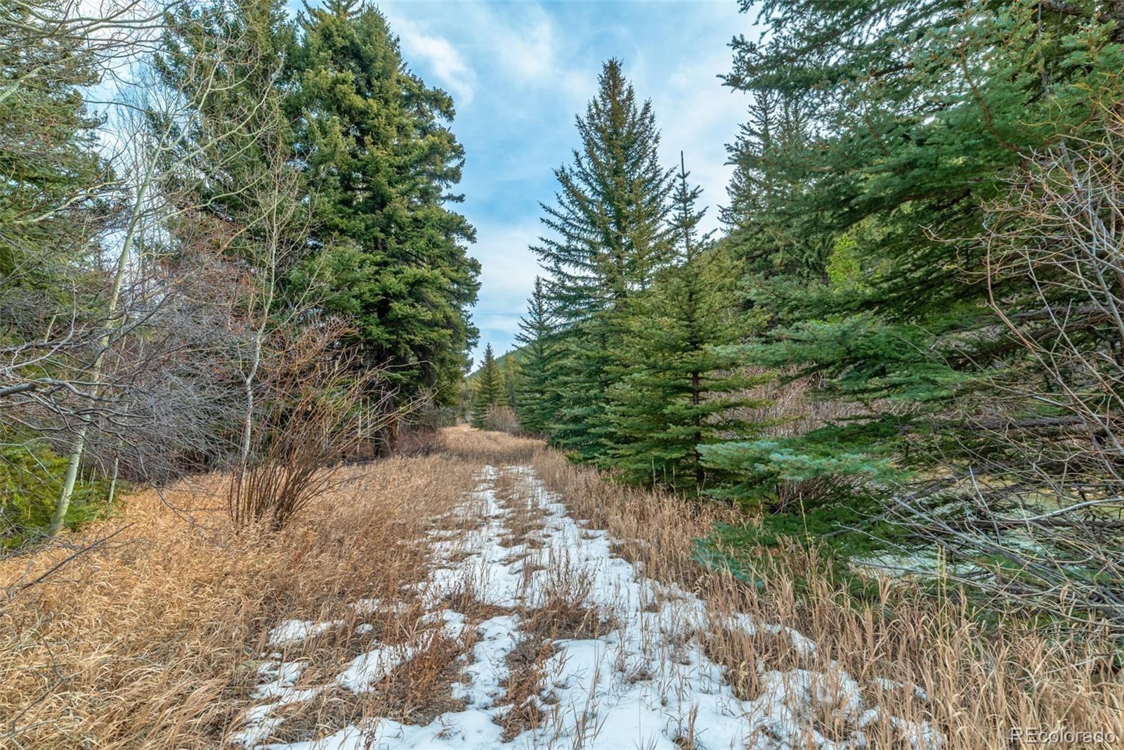 49756 Highway 285 Grant CO 80448