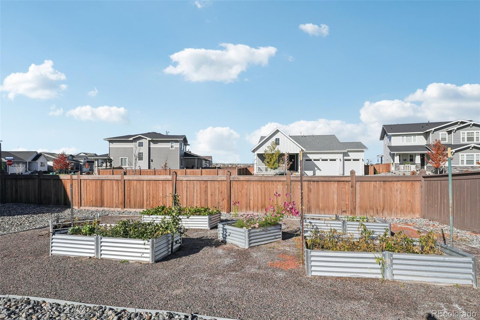 2877 Shikra Place Brighton CO 80601