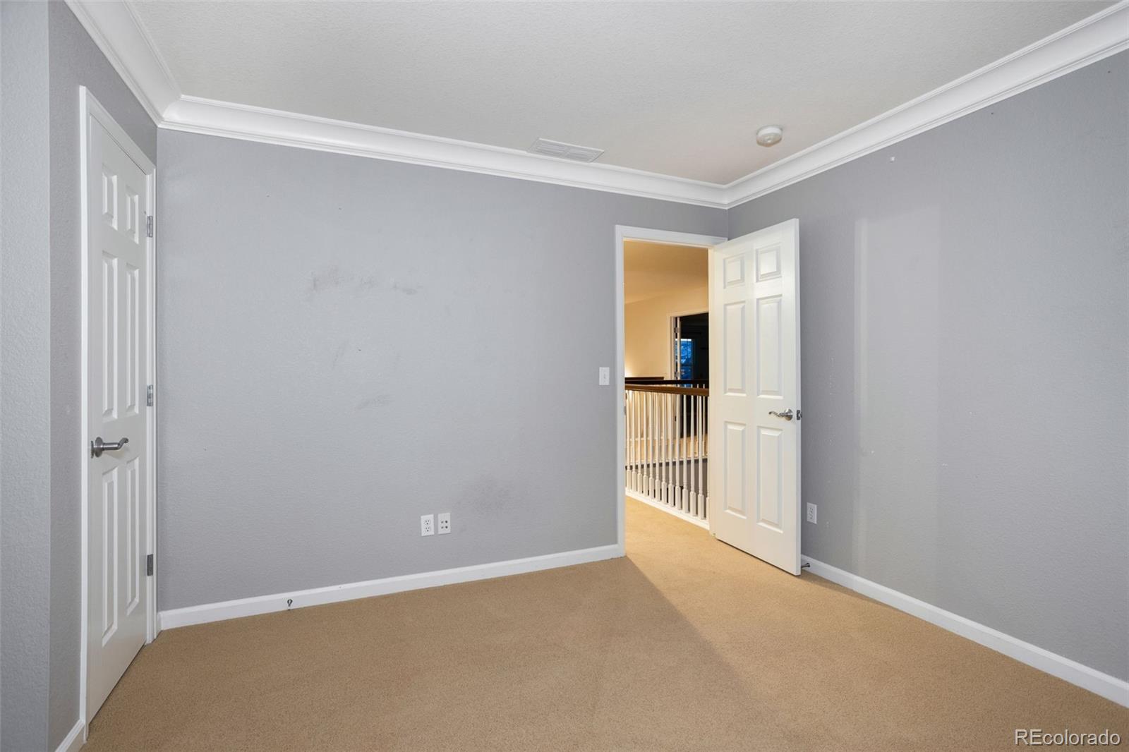 3465 Fantasy Place Castle Rock CO 80109