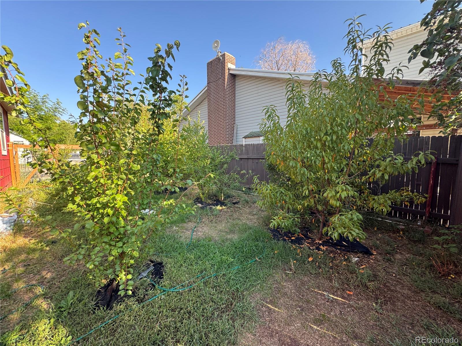 203 Dakota Avenue Rangely CO 81648