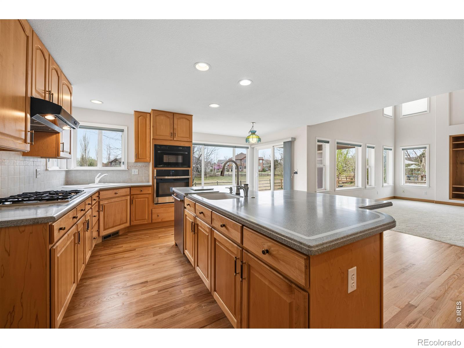 11790 Pleasant View Ridge Longmont CO 80504