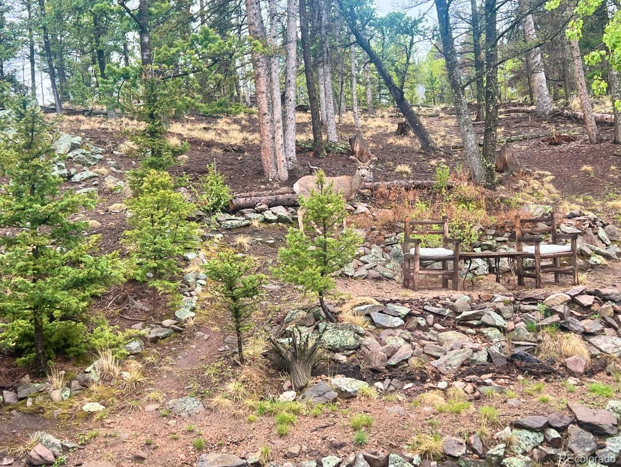 71 Red Cloud Drive Como CO 80432