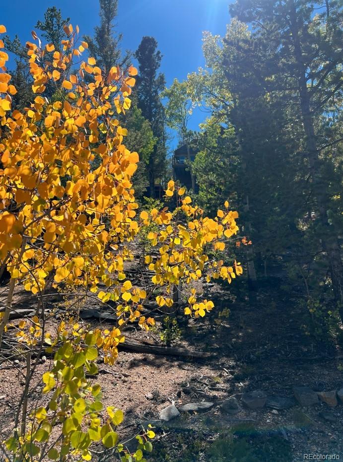71 Red Cloud Drive Como CO 80432