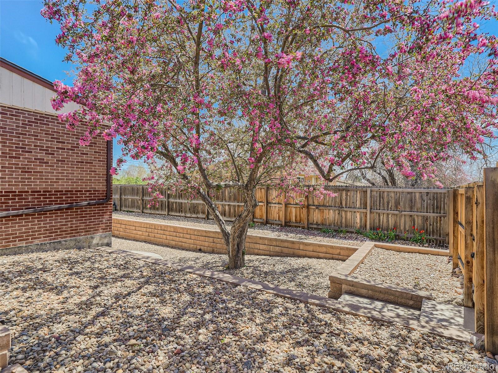 9870 W 53rd Avenue Arvada CO 80002