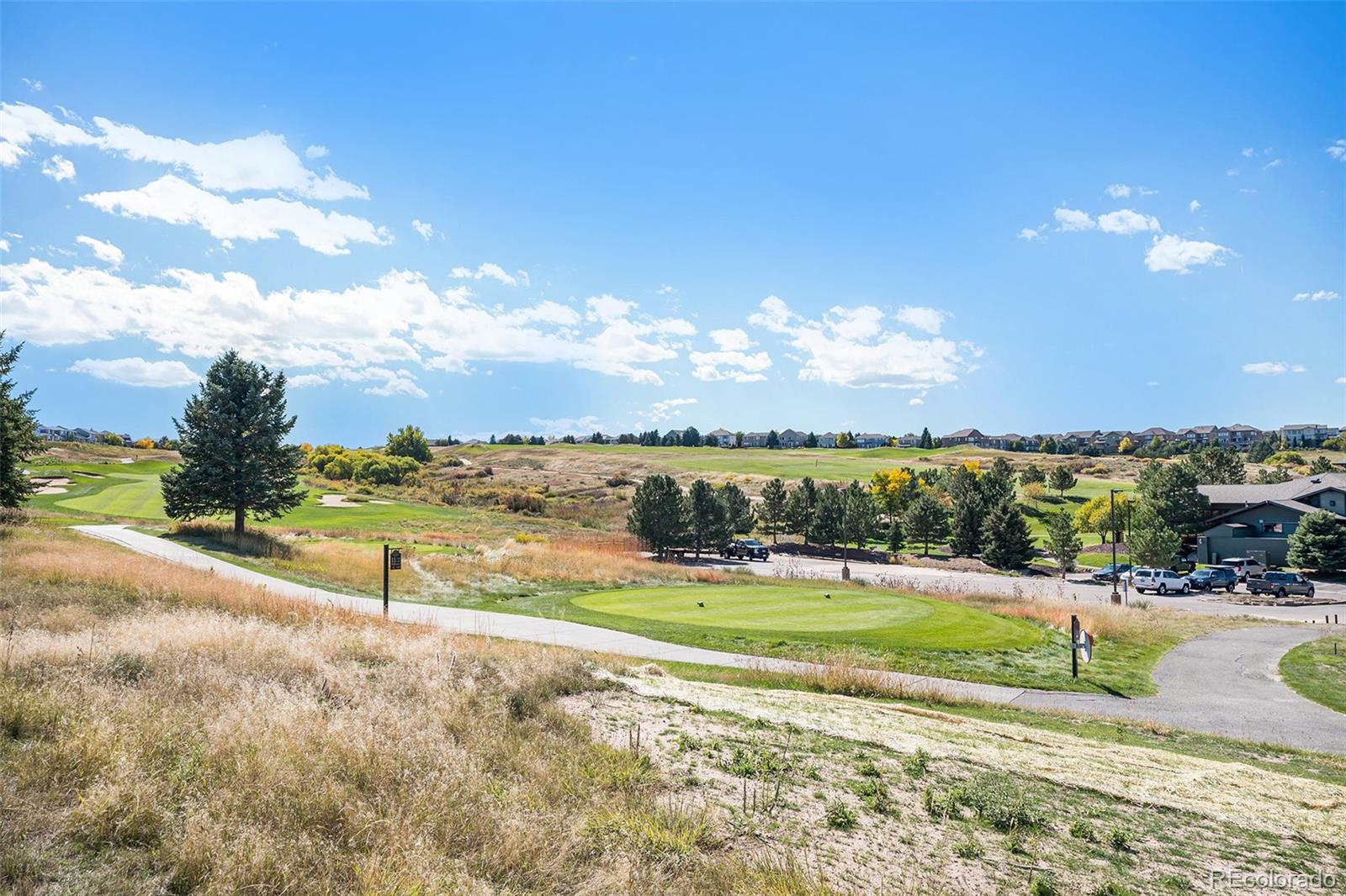 11465 Canterberry Lane Parker CO 80138