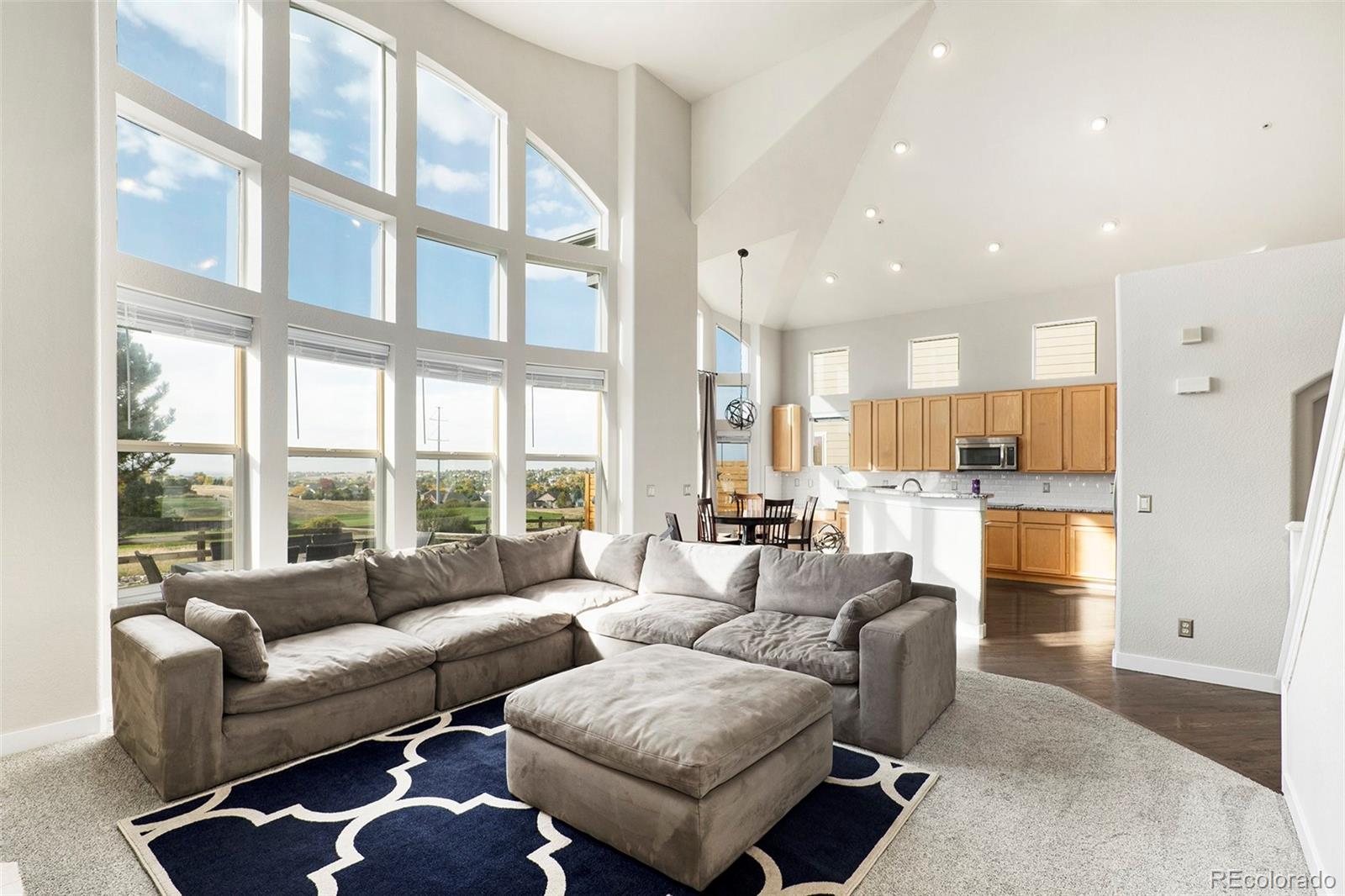 11465 Canterberry Lane Parker CO 80138