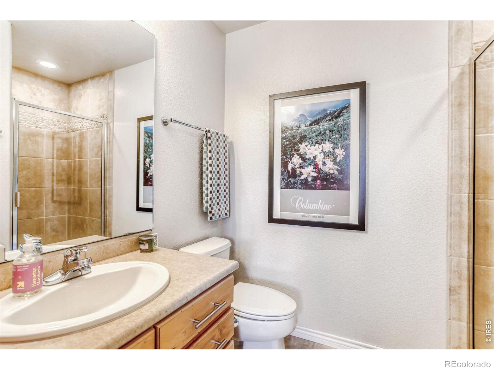 1043 Wyndemere Circle Longmont CO 80504