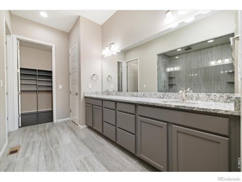 6725 Mentha Drive Castle Rock CO 80108