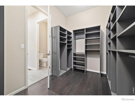 6725 Mentha Drive Castle Rock CO 80108