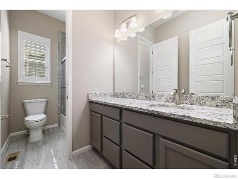 6725 Mentha Drive Castle Rock CO 80108