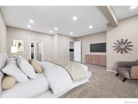 6725 Mentha Drive Castle Rock CO 80108