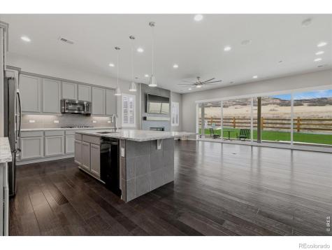 6725 Mentha Drive Castle Rock CO 80108