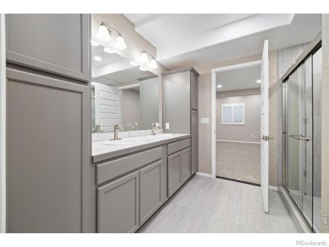 6725 Mentha Drive Castle Rock CO 80108