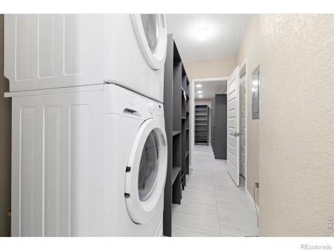 6725 Mentha Drive Castle Rock CO 80108